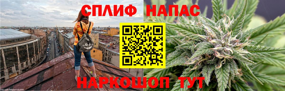 Марихуана план Каменск-Шахтинский